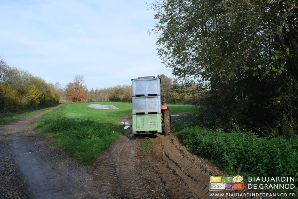 photo d'une pile de 3 palox transportés par la fourche à palette du tracteur