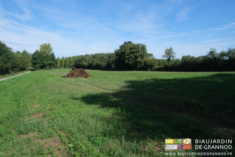 photo de la parcelle entourée de haies avec une benne de fumier versée en tas