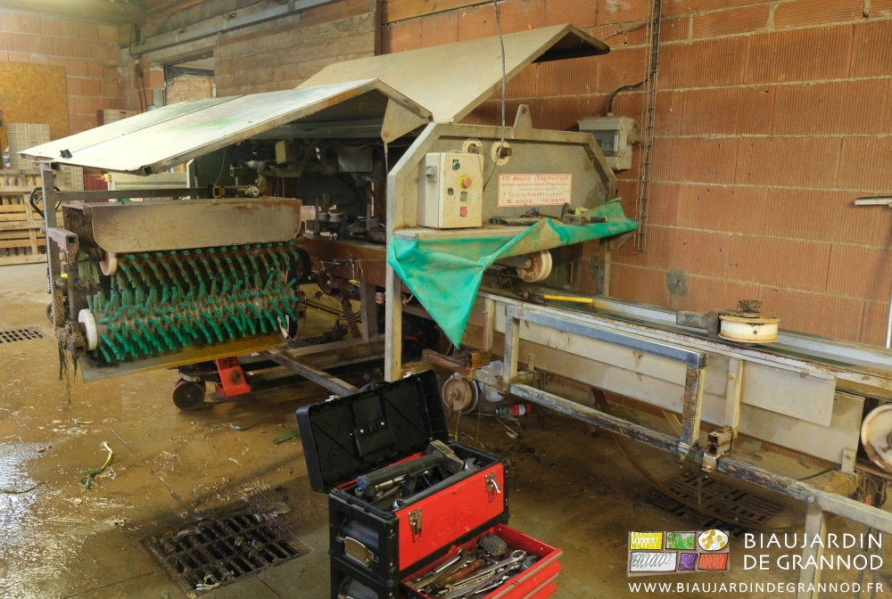 photo de la laveuse de poireau "ouverte" pour sortir les courroies d'entrainement des poireaux