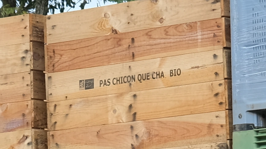 photo détail d'un palox bois identifiés pas chicon que cha avec logos bio 