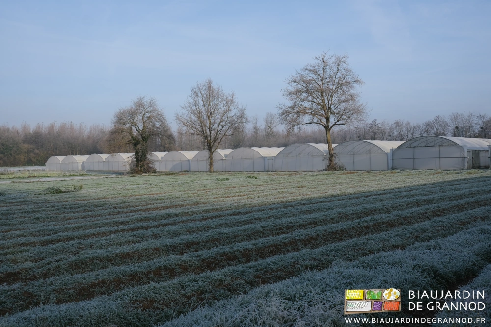 photo d'ensemble du jardin et des bi-tunnels sous le gel
