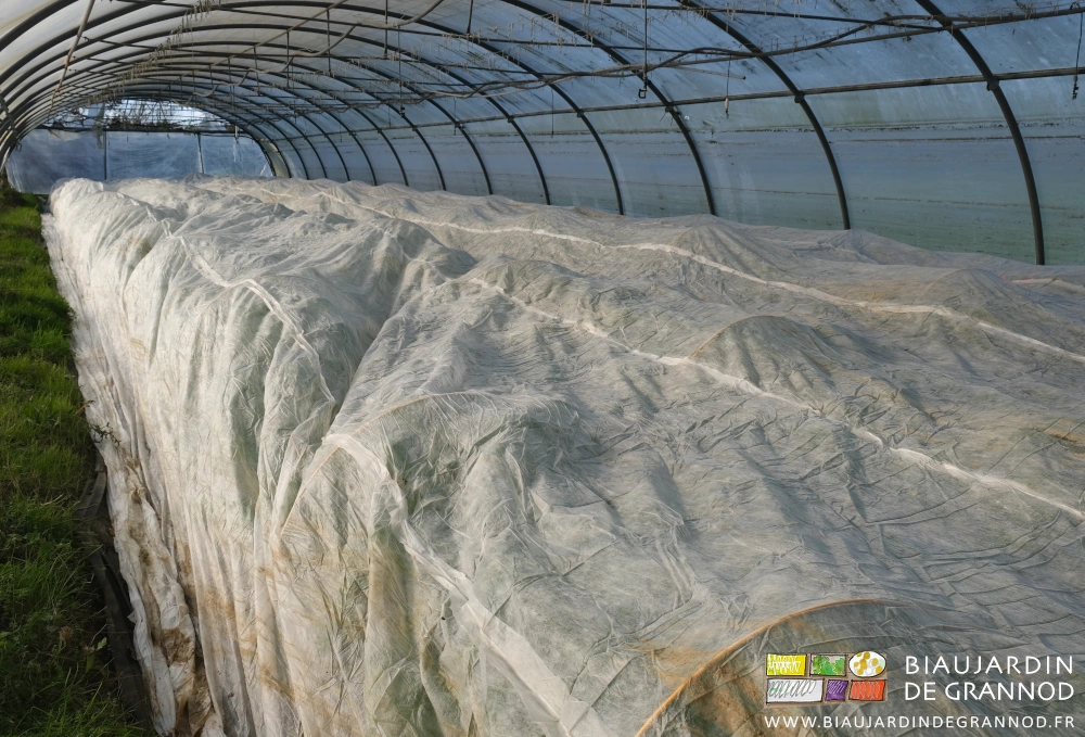 photo de planches couvertes d'un voile posé sur des arceaux chenille