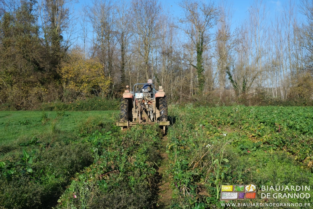 photo du tracteur tirant la lame soulevant l'ensemble de la planche de radis d'hiver