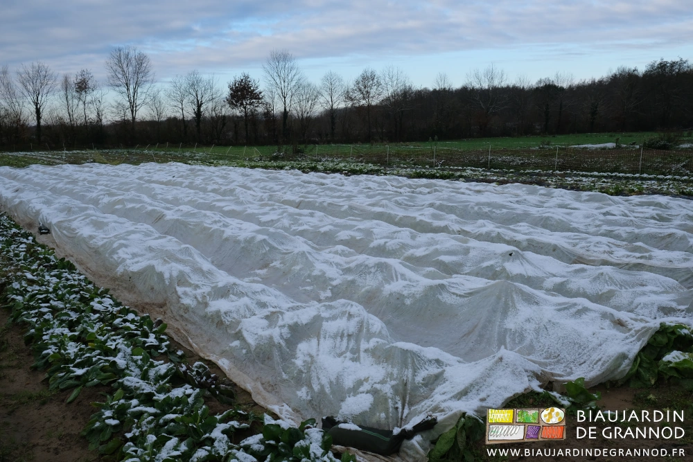 photo d'un voile thermique de protection légèrement couvert de neige