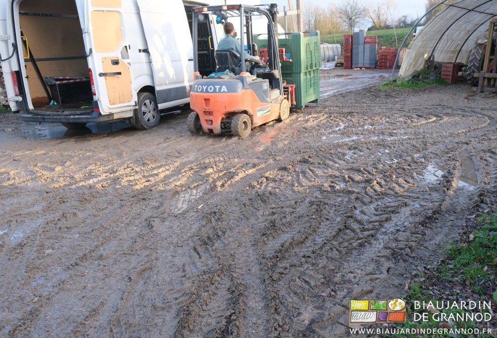 photo de Matthieu manipulant des palox au chariot élévateur dans notre cour boueuse