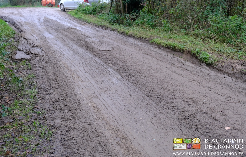 photo de la desserte terreuse et défoncée qui mène à notre ferme