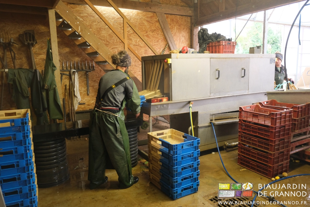 photo de Mike empilant les cagettes lavées en sortie de la machine
