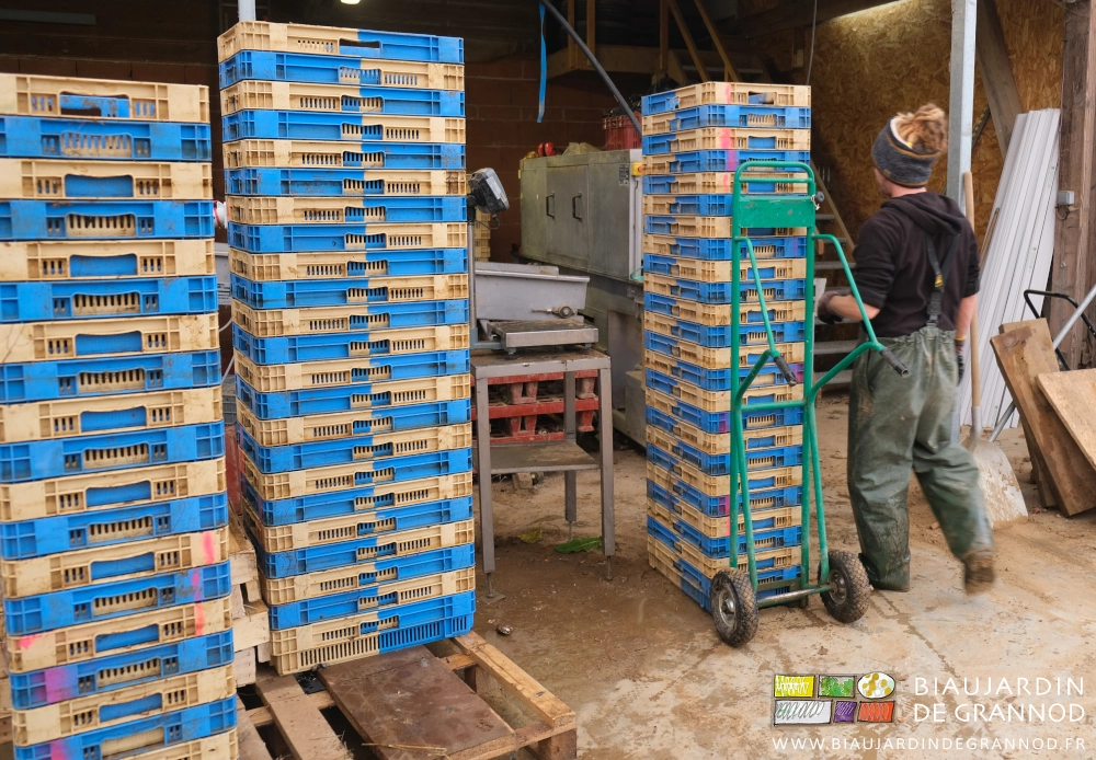 photo des piles de caisses sur palette, une au diable près de la laveuse