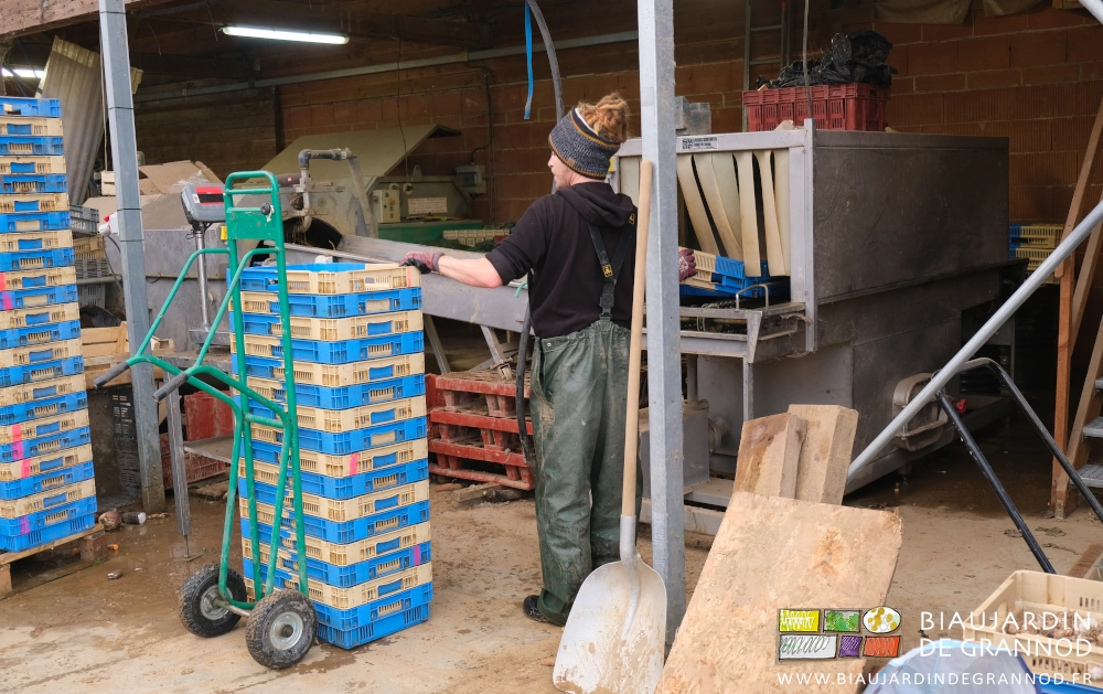 photo de Valentin posant les cagettes une à une sur le tapis roulant de la laveuse