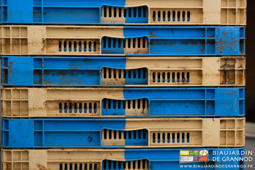 photo de caisses en pile et très terreuses en attente de lavage