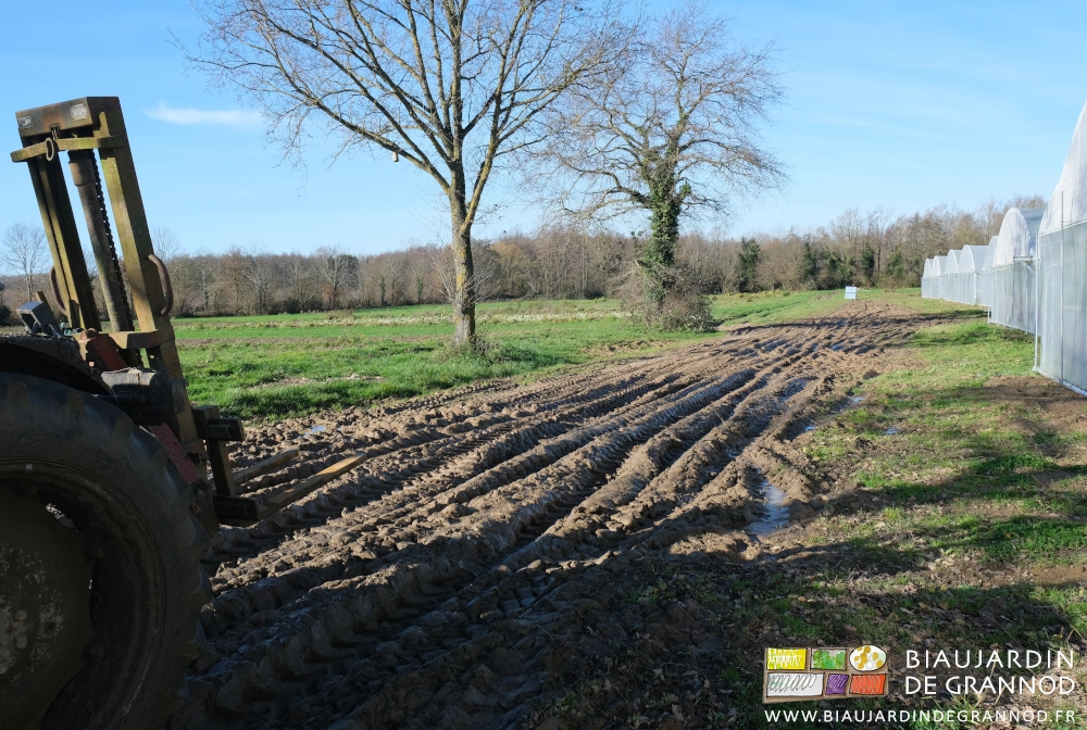 photo d'une succession d'ornières le long des chênes qui divisent le jardin
