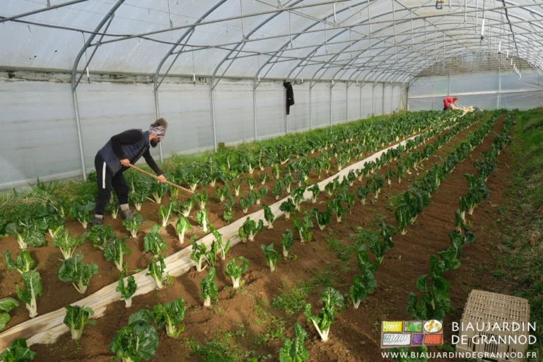photo de Mike binant avec valentin la bette bressane sous tunnel
