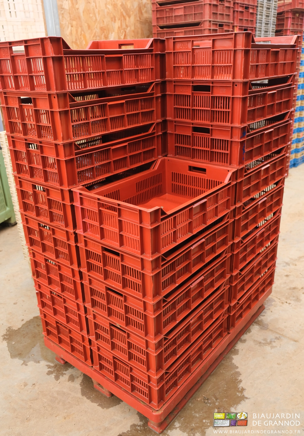 photo d'une palette de cagettes rouges lavées et comme neuves