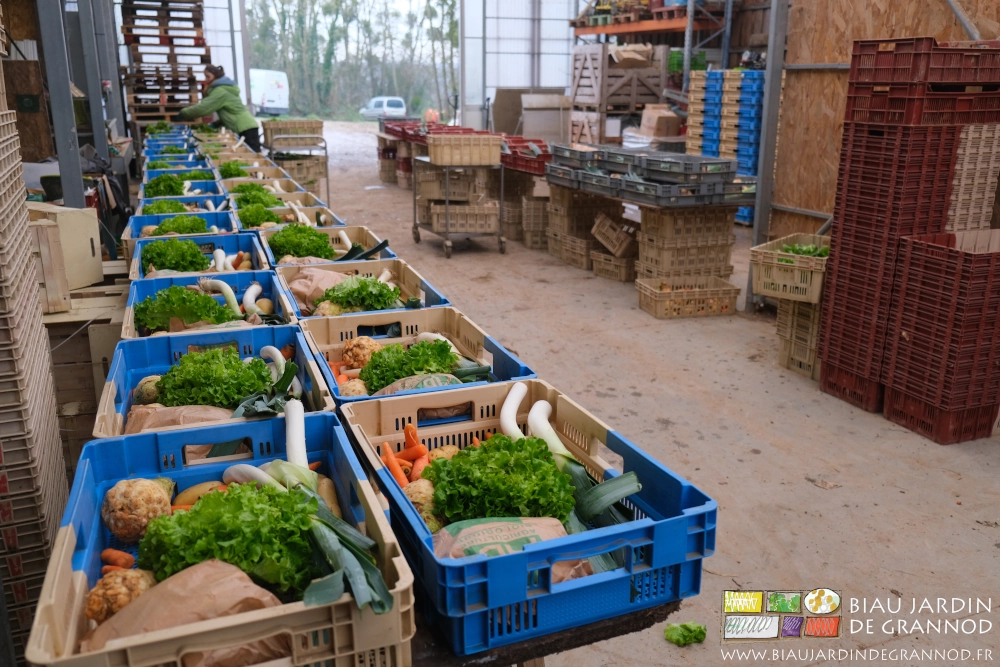 photo des paniers en cours de préparation sur les tables par Émilie et Valentin