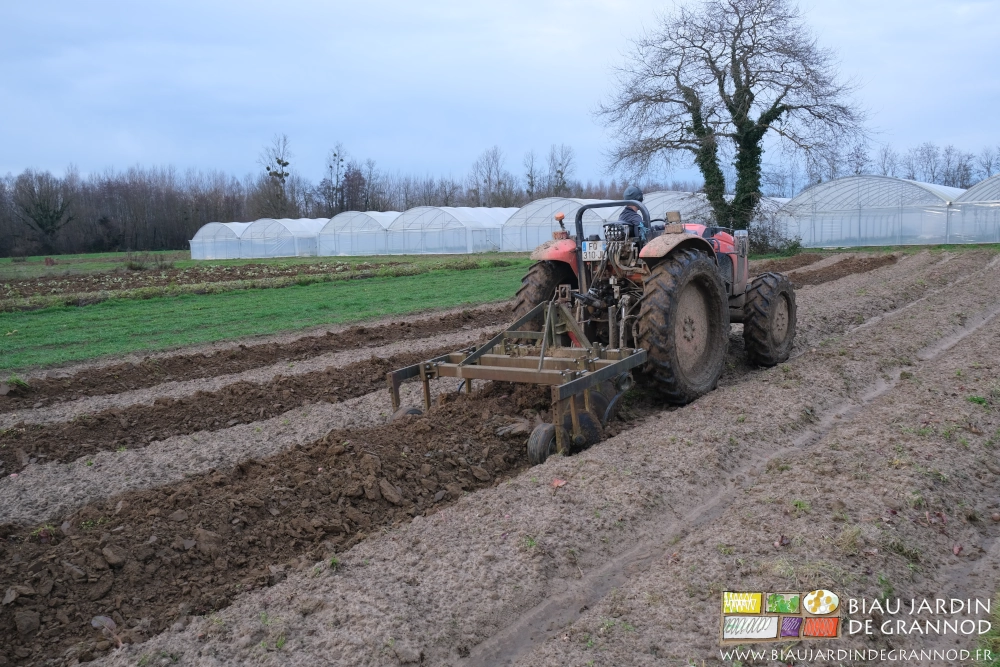 photo du re-buttage d'une planche les restes de culture bien incorporés depuis plusieurs semaines