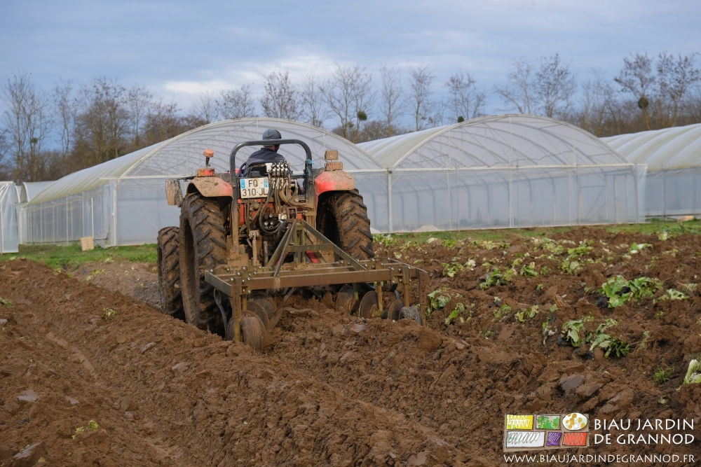 photo du travail de la butteuse dans des planches nues ou couvertes