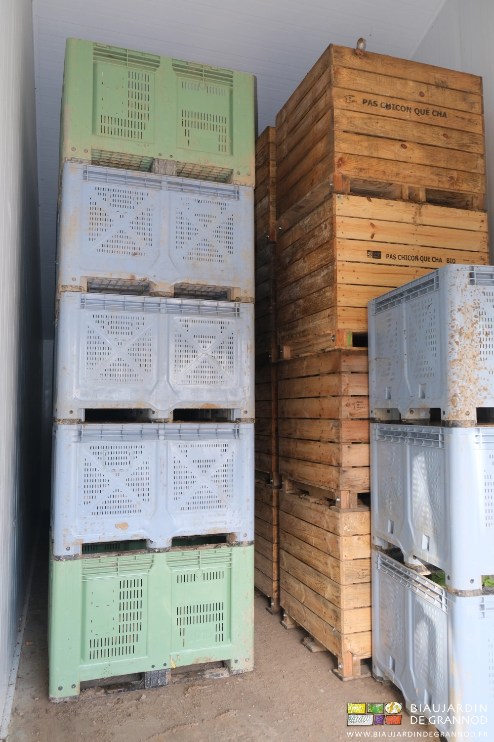 photo de piles de palox bois ou plastique dans le local en froid humide