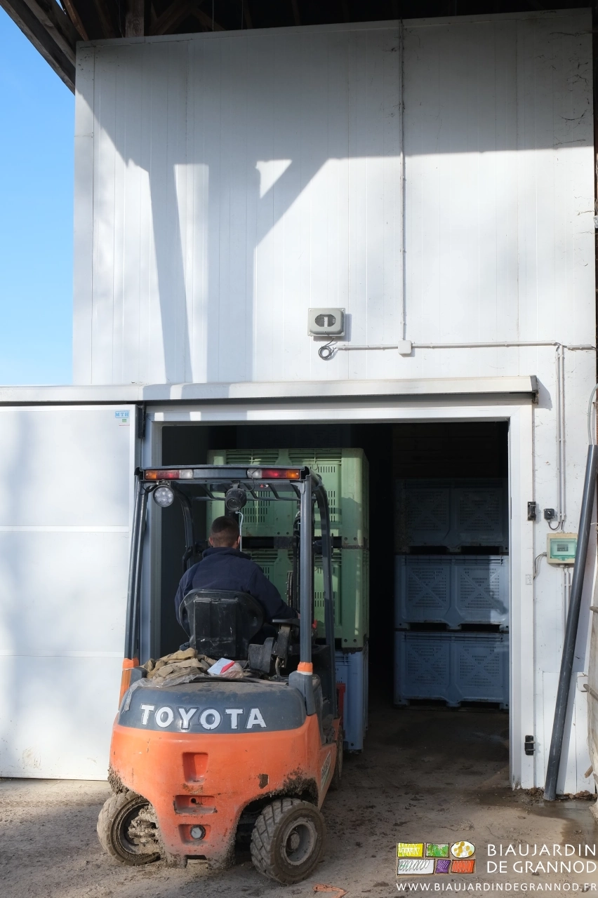 photo de Matthieu ajoutant des palox sur une pîle dans le local en froid humide