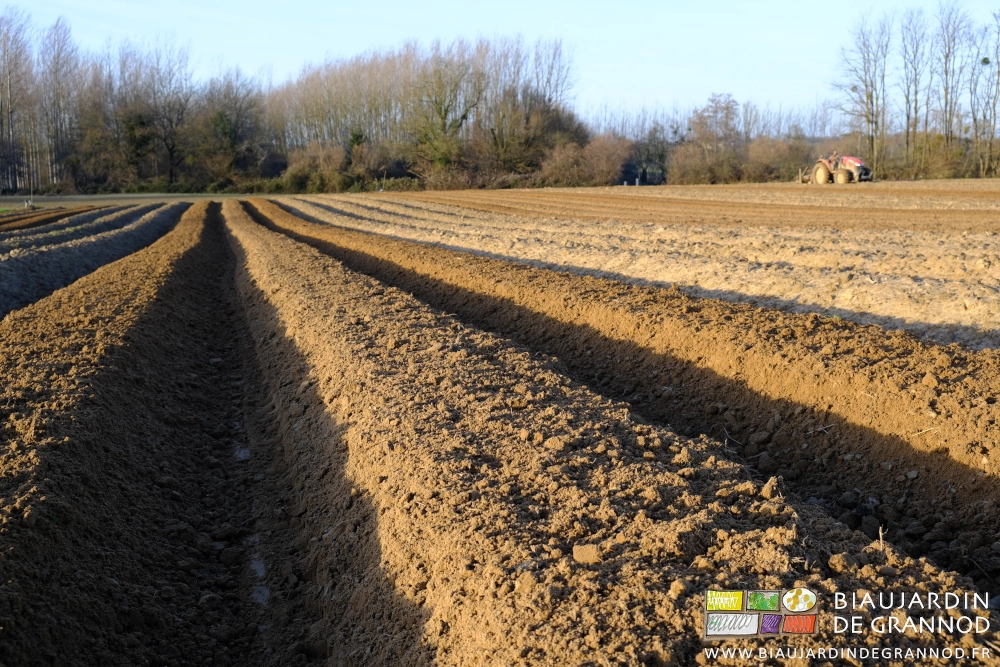 photo de l'état de surface assez motteux pour résister aux intempéries de l'hiver