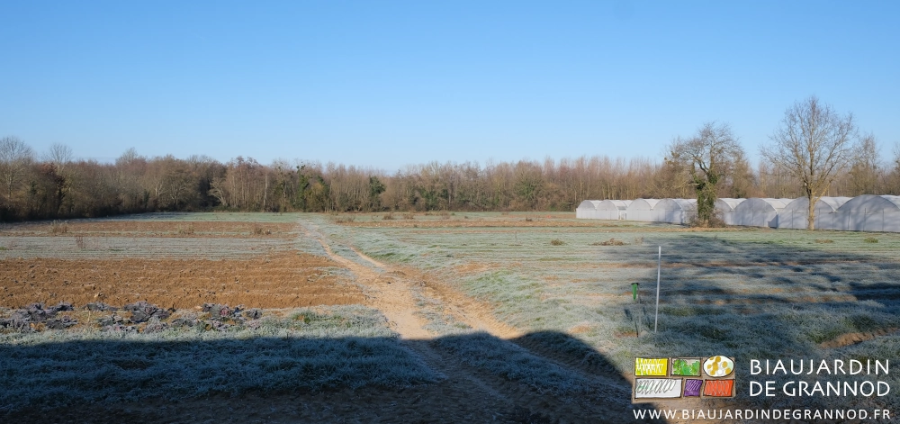 photo d'une parcelle couverte de givre sous ciel bien bleu