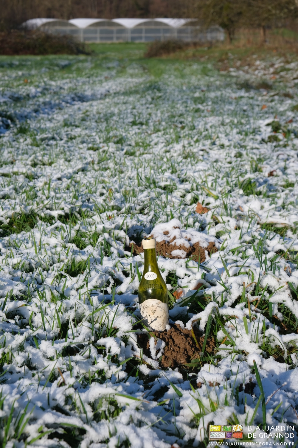 photo d'une bouteille de vin de paille sur fond de pré et quadri-tunnel couvert de gel
