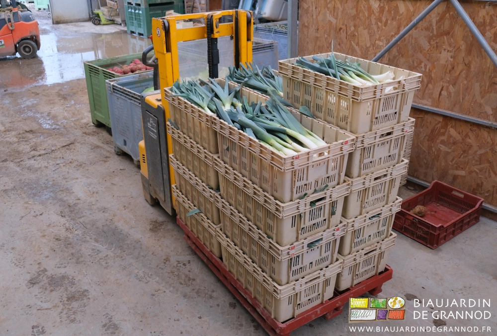 photo d'une palette de cagettes de poireau pour les paniers et magasins