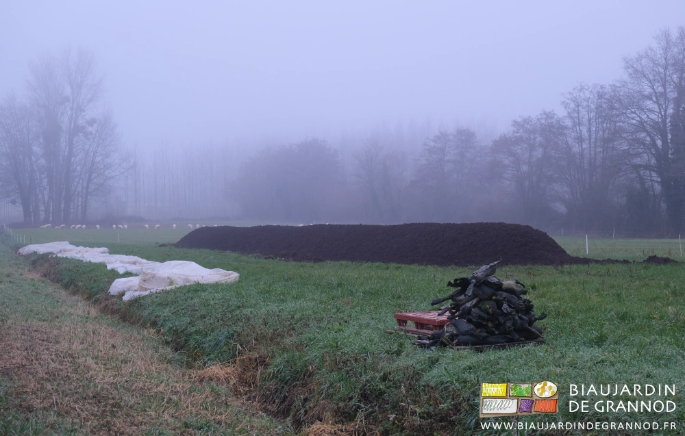photo du tas allongé par temps de brouillard très bressan