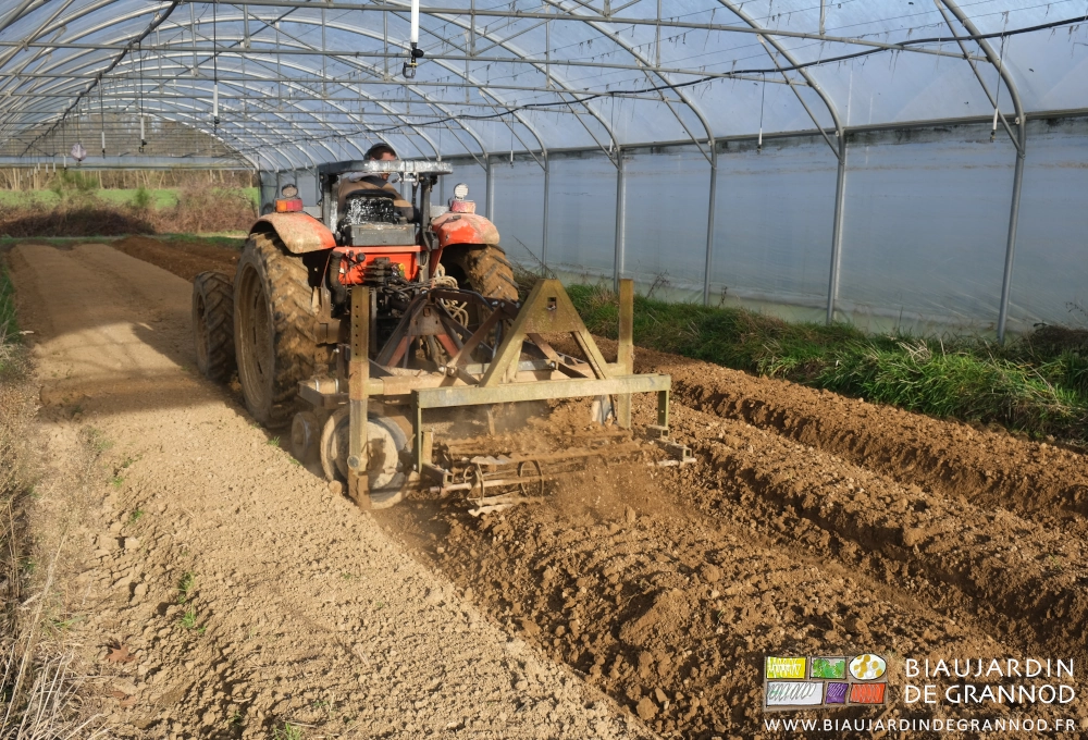 photo du cultibutte reprenant des planches permanentes sous tunnel et sous ciel bleu