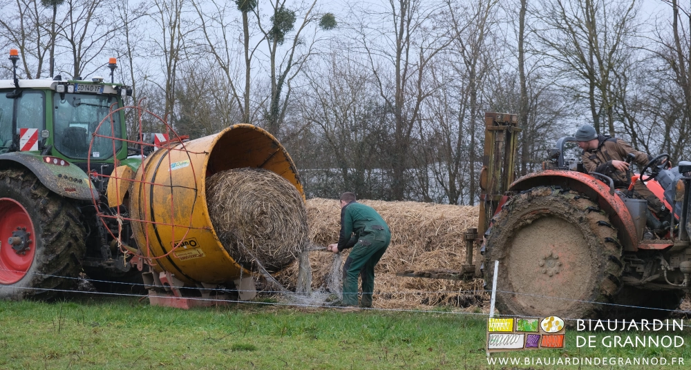 photo de Romi qui tire le filet de la botte