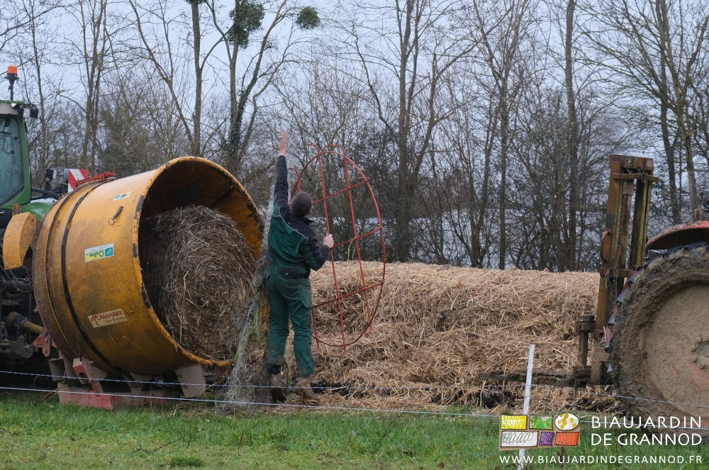 photo de Romi qui saute bras tendus pour décrocher un filet pris à la porte