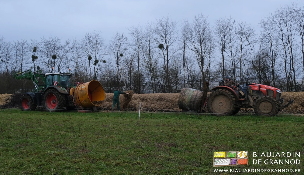 photo de Romi vidant un reste de paille sur le tas Matthieu prêt à amener une botte