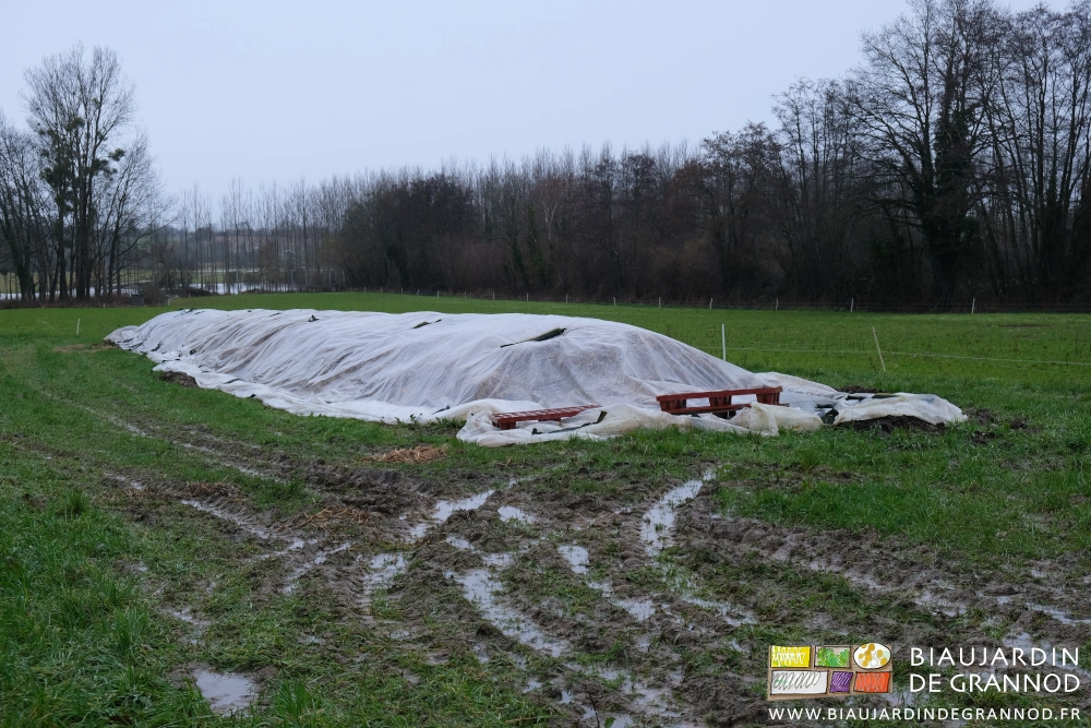 photo du tas couvert de paille puis d'une bâche plastique sur fond de prairie envahie d'eau
