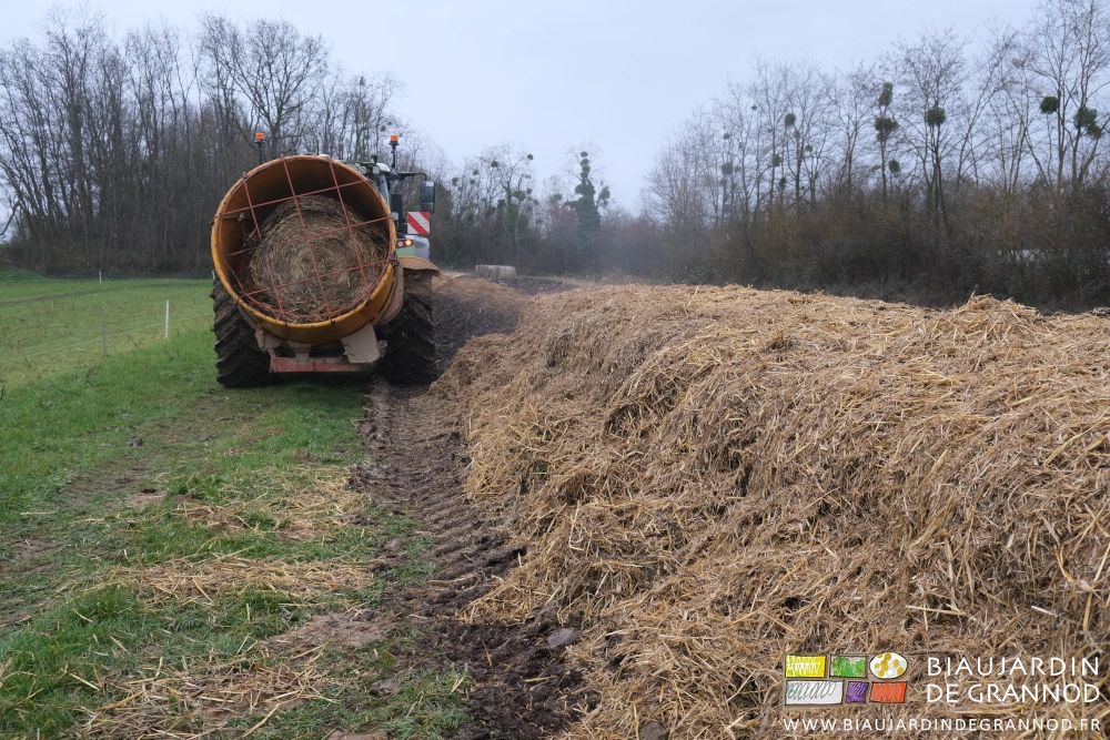 photo de la paille déchiquetée en cours de répartition sur le tas allongé de fumier