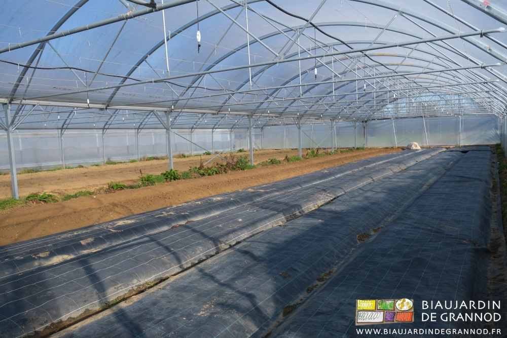 photo d'un bi-tunnel dont certaines planches sont occultée, d'autres récemment travaillées