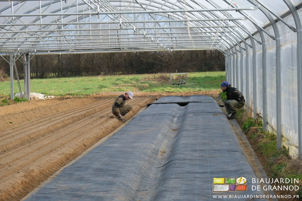 photo de Vivien et Mike accroupis pour enfoncer les agrafes de fixation de la toile