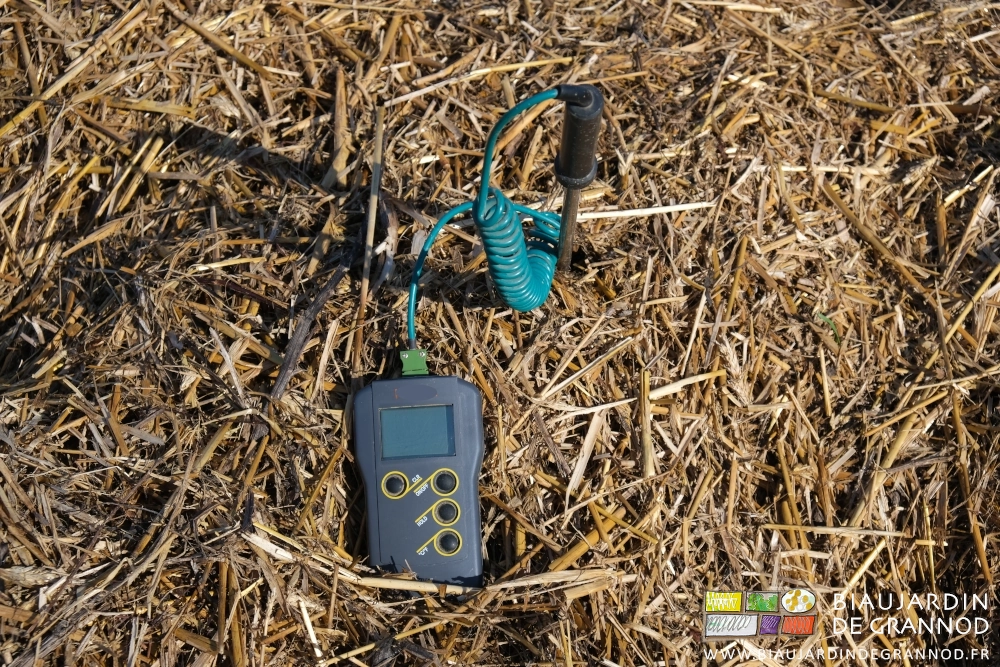 photo de la sonde piquée dans le tas de fumier couvert de paille, branchée à l'appareil de mesure