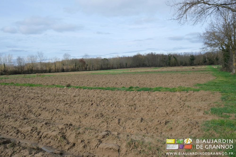 photo d'ensemble de 2 des parcelles de planches en plein champ sous ciel pluvieux