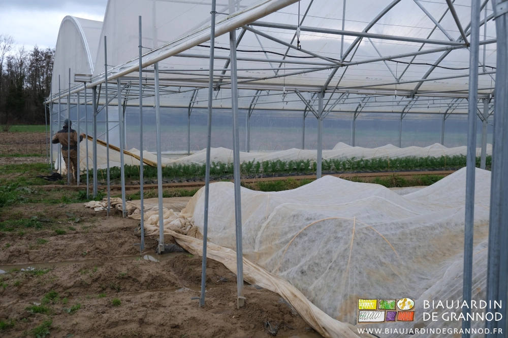 photo de Matthieu manipulant le voile d'une série de 4 planches