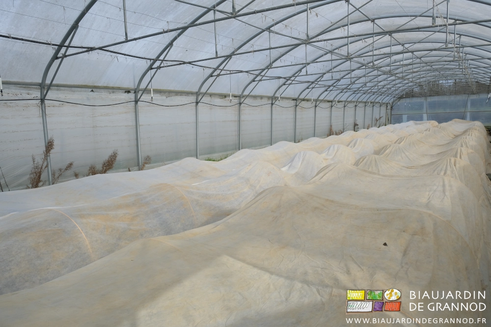 photo d'un tunnel dont toutes les planches sont couvertes d'un voile sur arceau