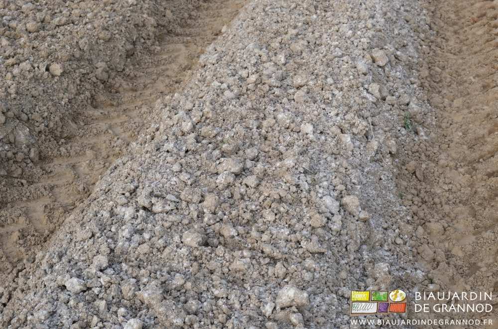 photo d'une planche couverte de sa chaux après préparation au cultibutte