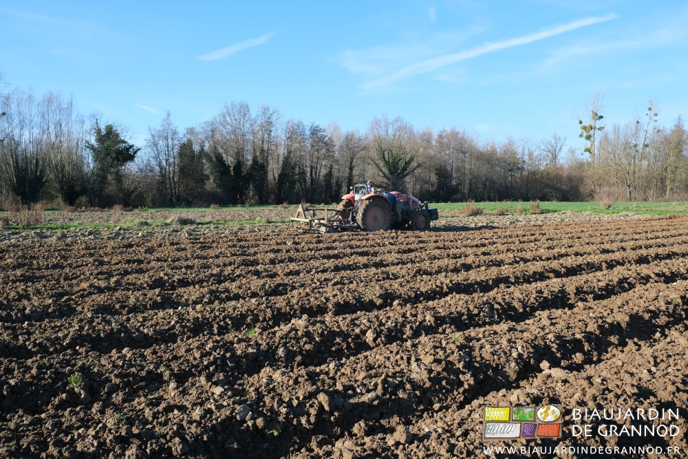 photo d'un carré en cours de travail au cultibutte avec des mottes