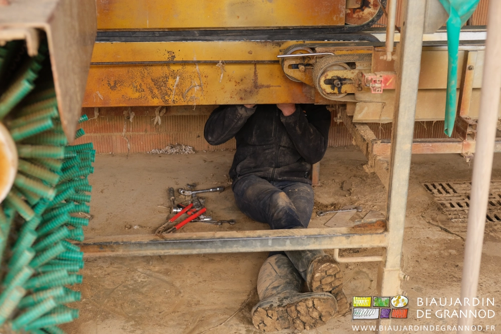photo de Matthieu assis sous la laveuse et rebrancher les tuyaux et asperseurs