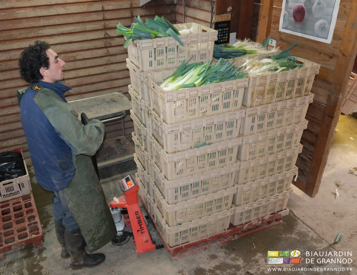 photo de Vivien contrôlant une palette de caisses avec le transpalette peseur