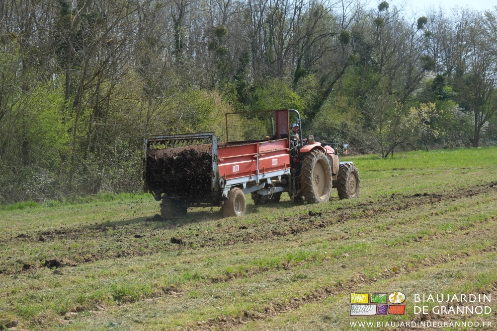 photo de l’épandeur répartissant le fumier sur des planches d'engrais vert