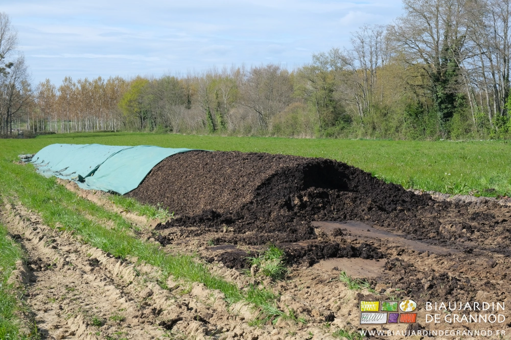 photo du tas de fumier composté en partie débâché pour le charger au godet