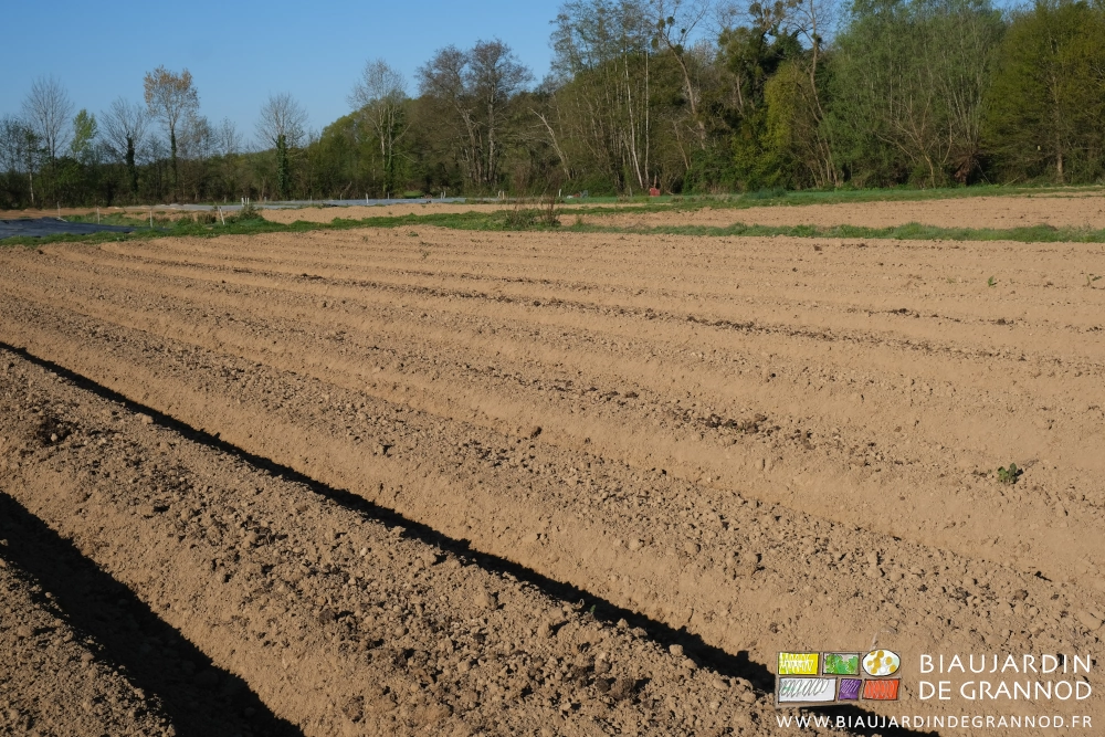 photo de fumier grossièrement mélangé à la terre de surface des planches