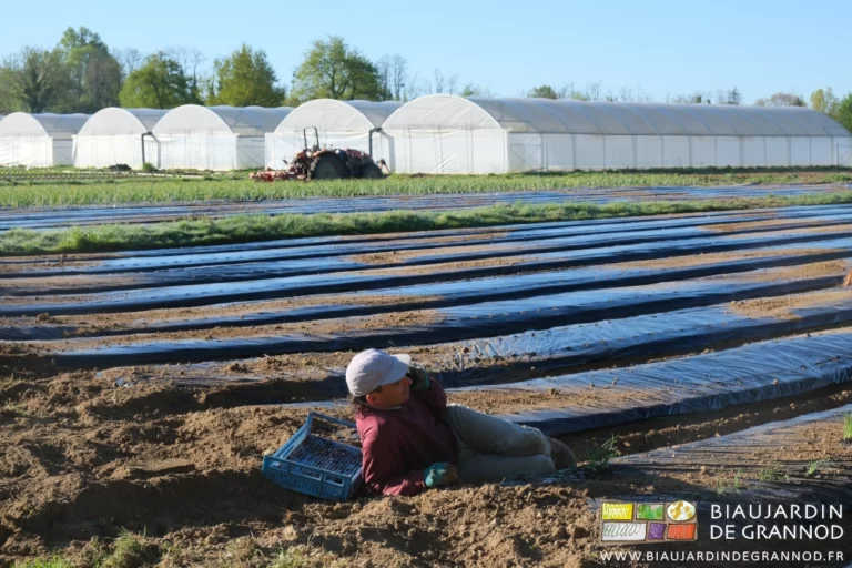 photo de Vivien qui téléphone allongé accoudé tel madame Récamier sur une allée entre 2 planches permanentes