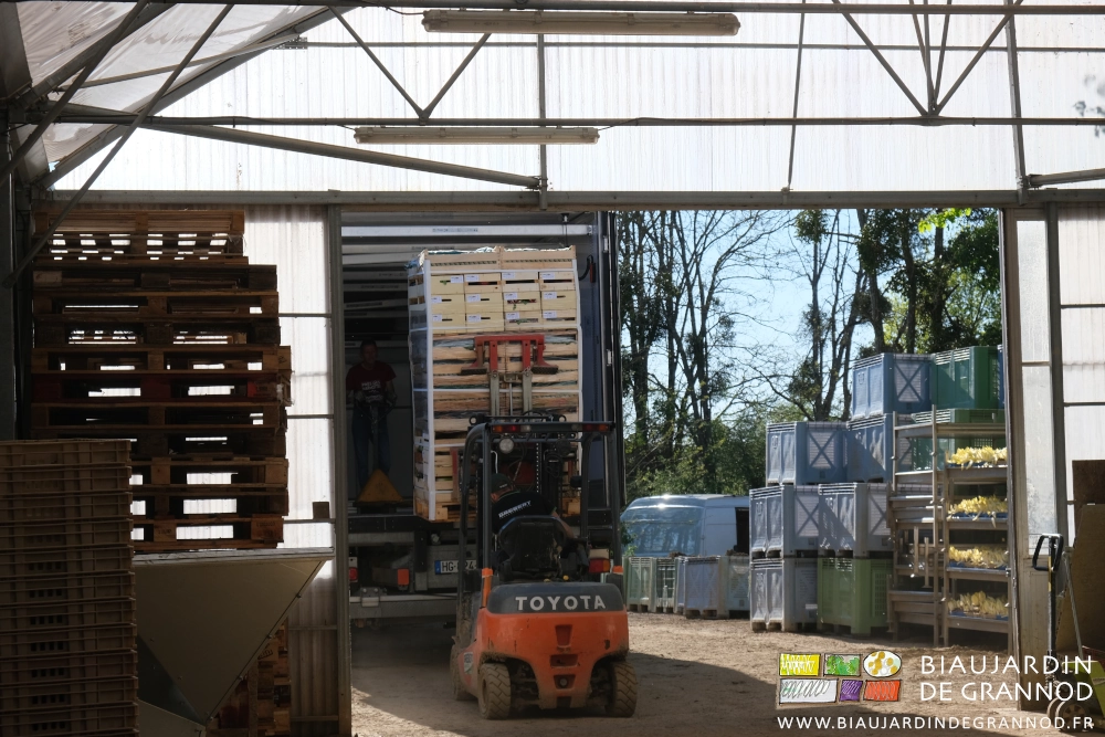 photo du chargement d'une des palettes dans le camion du transporteur avec le chariot