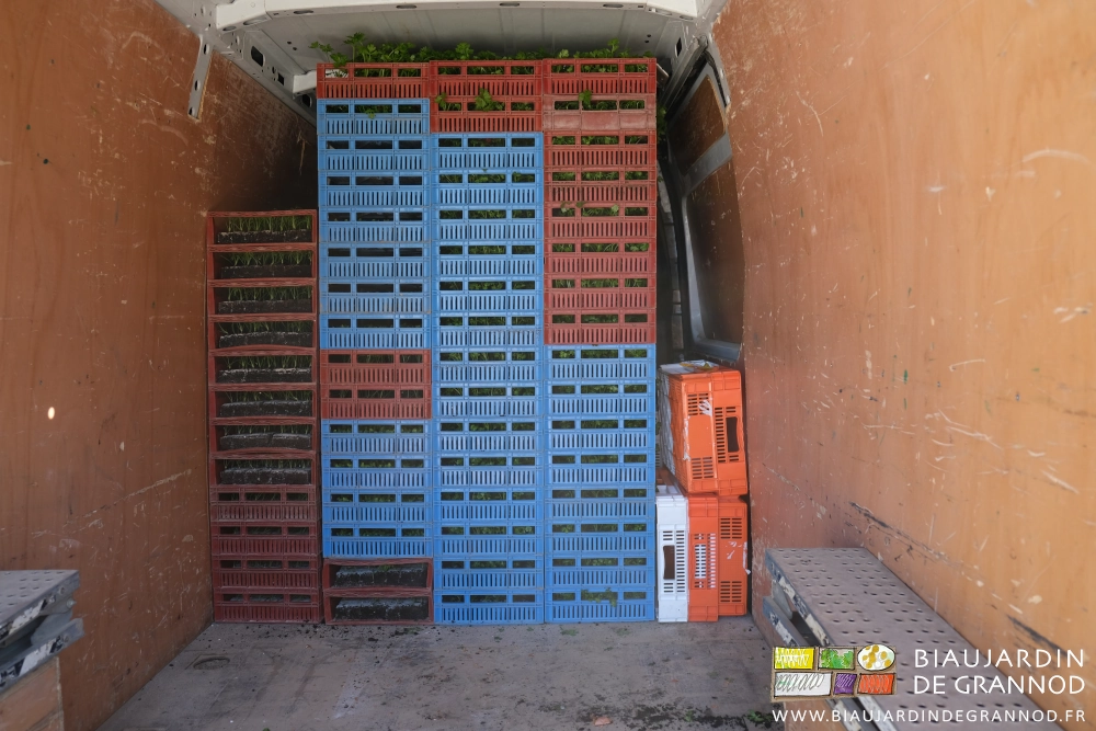 photo de la moitié avant du fourgon rempli de caisses de plants jusqu'en haut