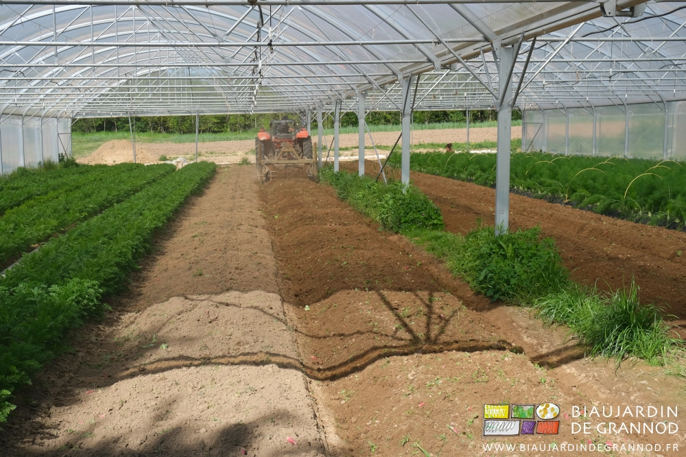 photo de fissuration du profil de 4 planches sous tunnel après radis botte